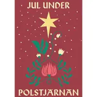 Jul under polstjärnan