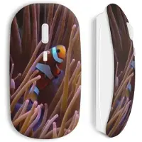 CAPACHEAP Souris sans fil Poisson nemo