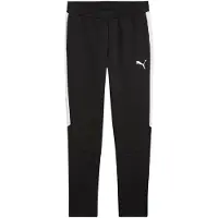 Puma Sportbyxa 'TeamEVOSTRIPE' svart / vit