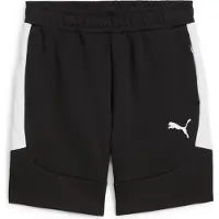 Puma Shorts Teamevostripe - Svart/Silver/White, storlek X-Small