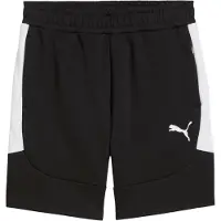 Puma Shorts Teamevostripe - Svart/Silver/White, storlek Large