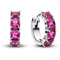 Pandora Timeless örhängen 293851C02