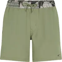 O'Neill Pocket Print 16" Boardshorts avery fern Storlek XL