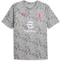 Puma Milan Tröja Pre Match - Grå - , storlek Large