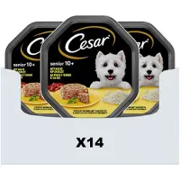 Cesar Senior 10+ med kyckling och ris i gelé våtfoder hund (bägare)