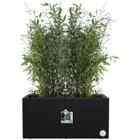 Elho Modern Svart Rektangulär Blomkruka | 78 cm Plast