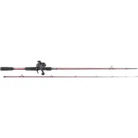 Daiwa Procaster+pr100l Baitcasting-kombo