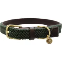 Kentucky Nylon Plaited Hundhalsband