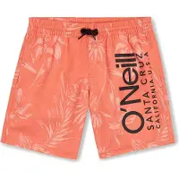 O'Neill barnshorts MIX