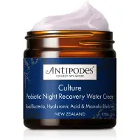 Antipodes Culture Probiotic Night Recovery Water Cream Nattkräm 60 ml