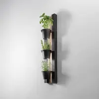 Luminex LED vägglampa Shelf , Svart, Vardagsrum / matsal, Metall, Modern, LED-vägglampa, vägglampa inomhus