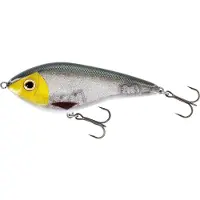 Westin Swim 15 cm Jerkbete