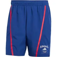 Adidas Sportbyxa 'Designed Fot Training Legacy' gentiana / grenadine / vit