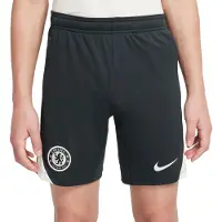 Nike Chelsea Träningsshorts Dri-FIT Strike - Grön/Grön/Grå Barn - , storlek M: 137-147 cm