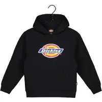 Dickies Youth Logo Hoodie Knit Black