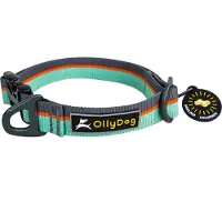 OllyDog Flagstaff Collar Surf