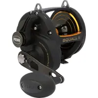 Penn Squall Ii Lever Drag Trollingrulle