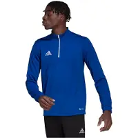 Adidas Sport sweatshirt 'Entrada 22' blå / vit
