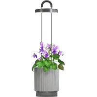 Click & Grow Click &amp Grow HydroVase krukväxtvårdssats med LED-ljus, självvattnande och automatisk timer - grå