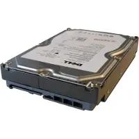 Dell - Hårddisk - 1 TB - inbyggd - 3.5 - SAS - nearline - 7200 rpm - för PowerEdge C6220, R220, R320, R420, R520, R720, T110, T320, T420, T430, T620, T630, VRTX