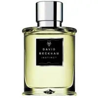David Beckham Instinct Homme edt 50ml