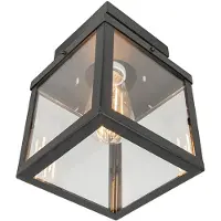 QAZQA Industriell utomhus taklampa svart 1-ljus - Rotterdam