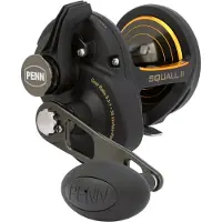 Penn Squall Ii Lever Drag Trollingrulle