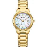 Citizen Eco-Drive FE1242-78D