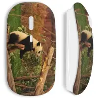 CAPACHEAP Souris Panda sans fil