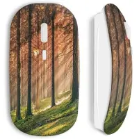 CAPACHEAP Souris Sans Fil Foret rouge