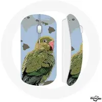CAPACHEAP Souris Sans Fil Perruches Oiseaux vert