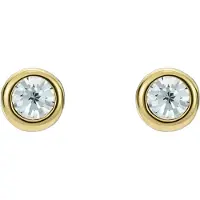 Ted Baker Örhängen 'SINEE' guld / transparent