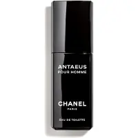 Chanel Antaeus Pour Homme 100 ml Män