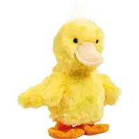 Happy Pets Kvack Kvack Ankunge