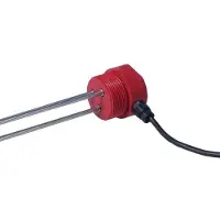 Carlo gavazzi Elektrodhållare 1000 mm 1 1/2 RG m/kabel 3 elektroder isolerade nylonhuvuden AISI316