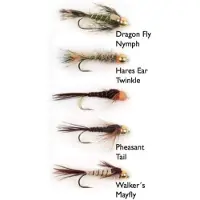 Wiggler Hurricane Fly Flugkollektion - Goldheads Long Shank 5p #10