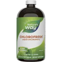 Nature'S Way , Chlorofresh, Flytande Klorofyll, Osmakning, 132 mg, 16 fl oz (480 ml)
