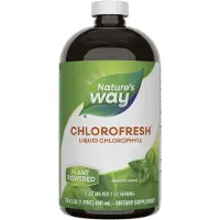 Nature'S Way , Chlorofresh, Flytande Klorofyll, Mint, 16 fl oz (480 ml)
