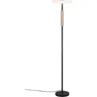 TRIO Lighting LED golvlampa Celeste, dimbar, Svart, Vardagsrum / matsal, Metall, Modern, LED-golvlampa