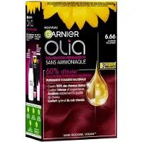 Garnier Färg utan ammoniak Garnier Olia Nº 6.66 Carmine