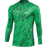 Nike Målvaktströja Dri-FIT Gardien V L/S - Grön/Vit, storlek Small