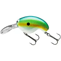Daiwa PX Fuku 1 Crank