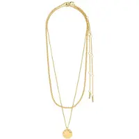 Pilgrim Halsband 'Declan' guld