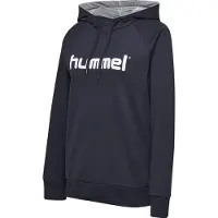 Hummel Go Logo Tröja Med Huva