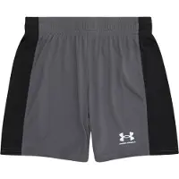 Under Armour Challenger Knit Shorts