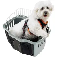 BRN Pets Korg