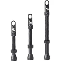 Syncros Tubeless Ventiler