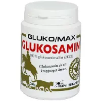 Ginza.se ION SILVER - Gluko/Max 200Gr Glucosamine Sulfate 100%