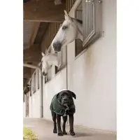 Diego & Louna Teddy Nylon Hundjacka