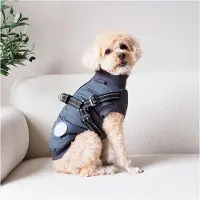 Nordic Paws Thor Hundjacka